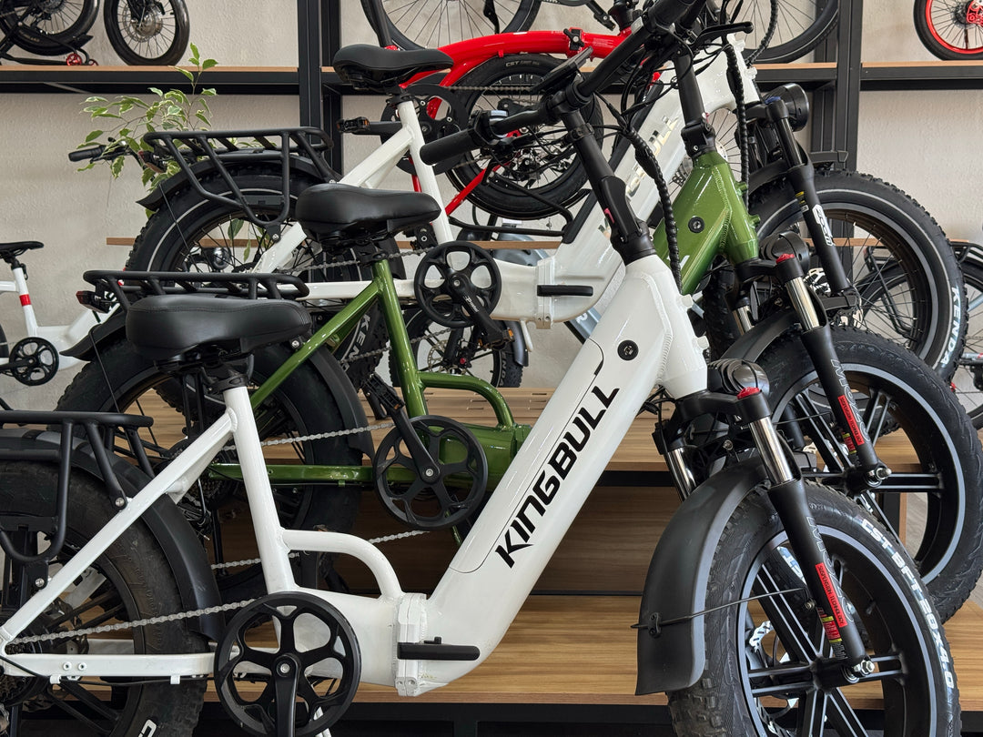 Kingbull Electric Bike in various models and colors
