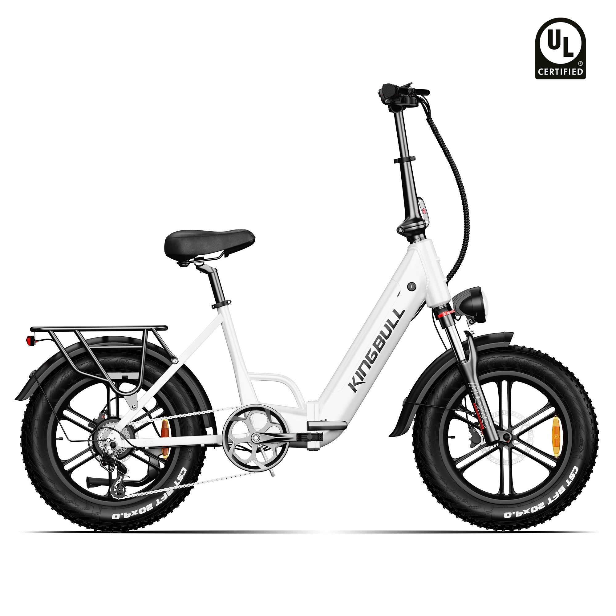 tier elektrofahrrad Kingbull Literider 2.0