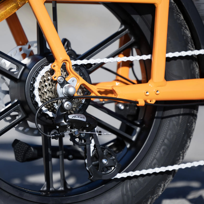 Shimano 7-speed gear system – Kingbull Voyager2.0