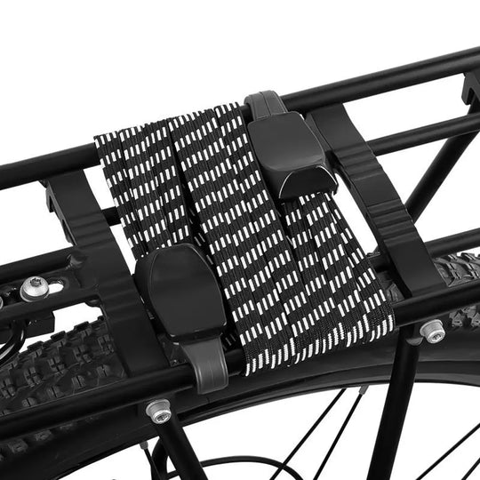 E-bike 3 in 1 Bungee Cord-Kingbull