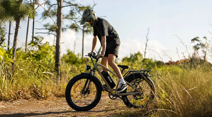Kingbull Hunter 2.0 electric mountain bike