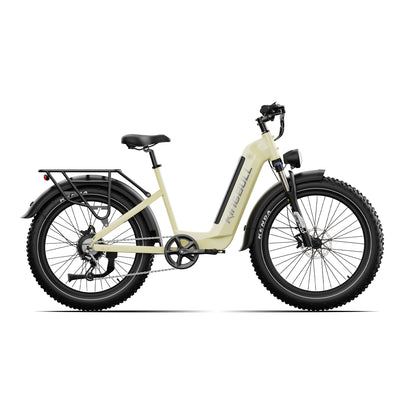 Trekker | Premium Step-Through Electric City Bike