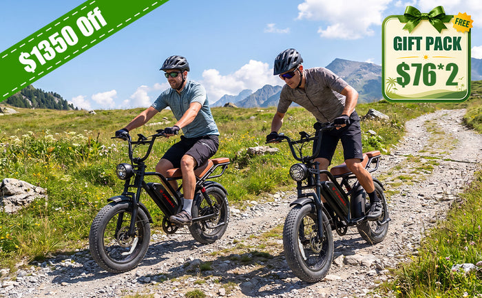 Double Kingbull Ranger | Vintage Off-Road Electric Bike