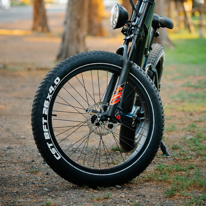 Kingbull ebike 26X4" CST All-Terrain Tires-Rover2.0