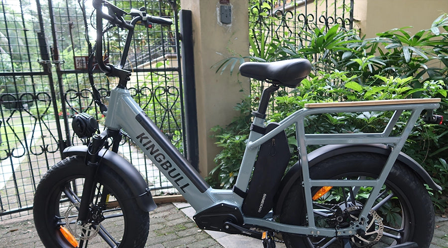 Kingbull Voyager vs Himiway Big dog, how to choose your electric cargo bike.