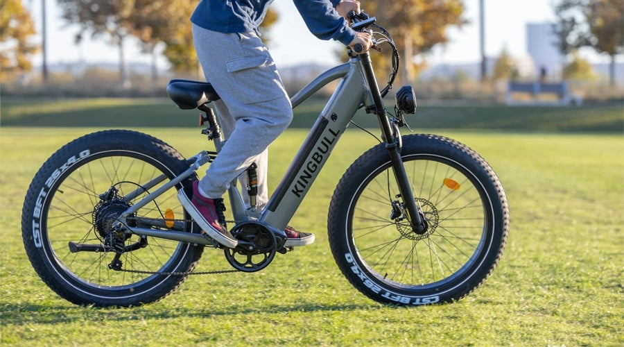 US E-Bike Laws & Regulations: State-by-State Guide to Street-Legal Electric Bikes