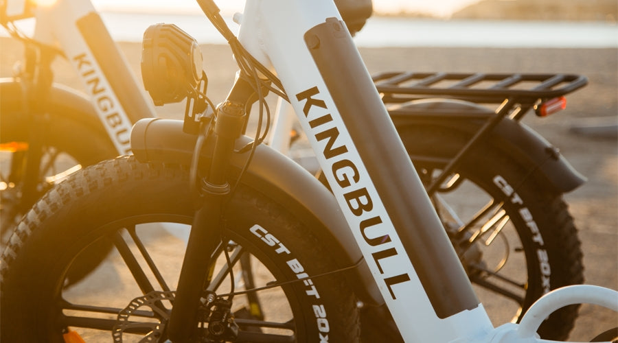 Exploring Nature's New Choice: Fat Tire Electric Bikes