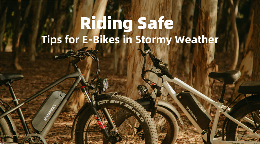 Riding Through the Storm: Ensuring Your E - Bike's Resilience in Inclement Weather