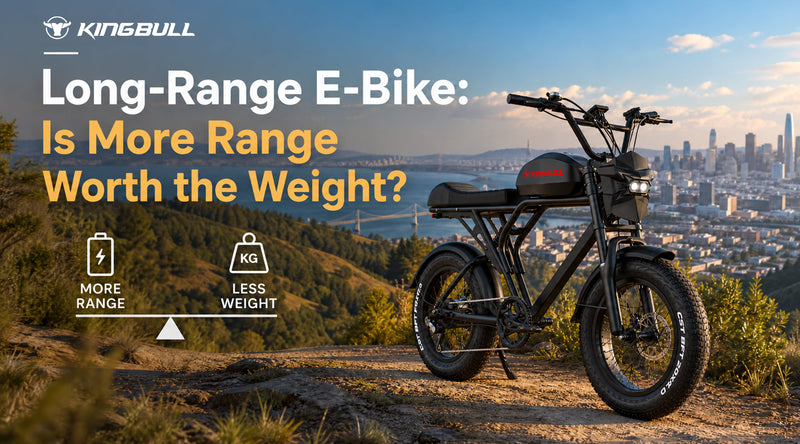 Long-Range E-Bike: Is More Range Worth the Weight?