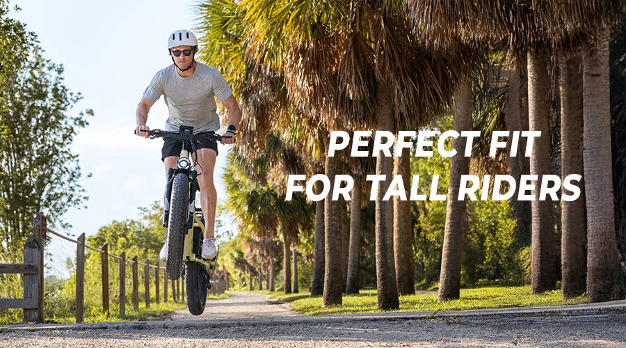 The Perfect Choice for Tall Riders: Kingbull Electric Bike Professional Guide