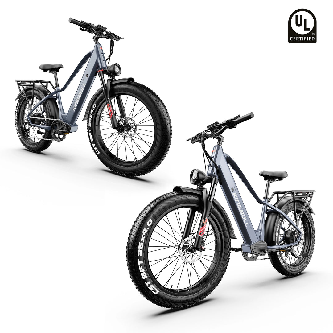 Double Kingbull Discover (ST) 2.0 ebike with UL