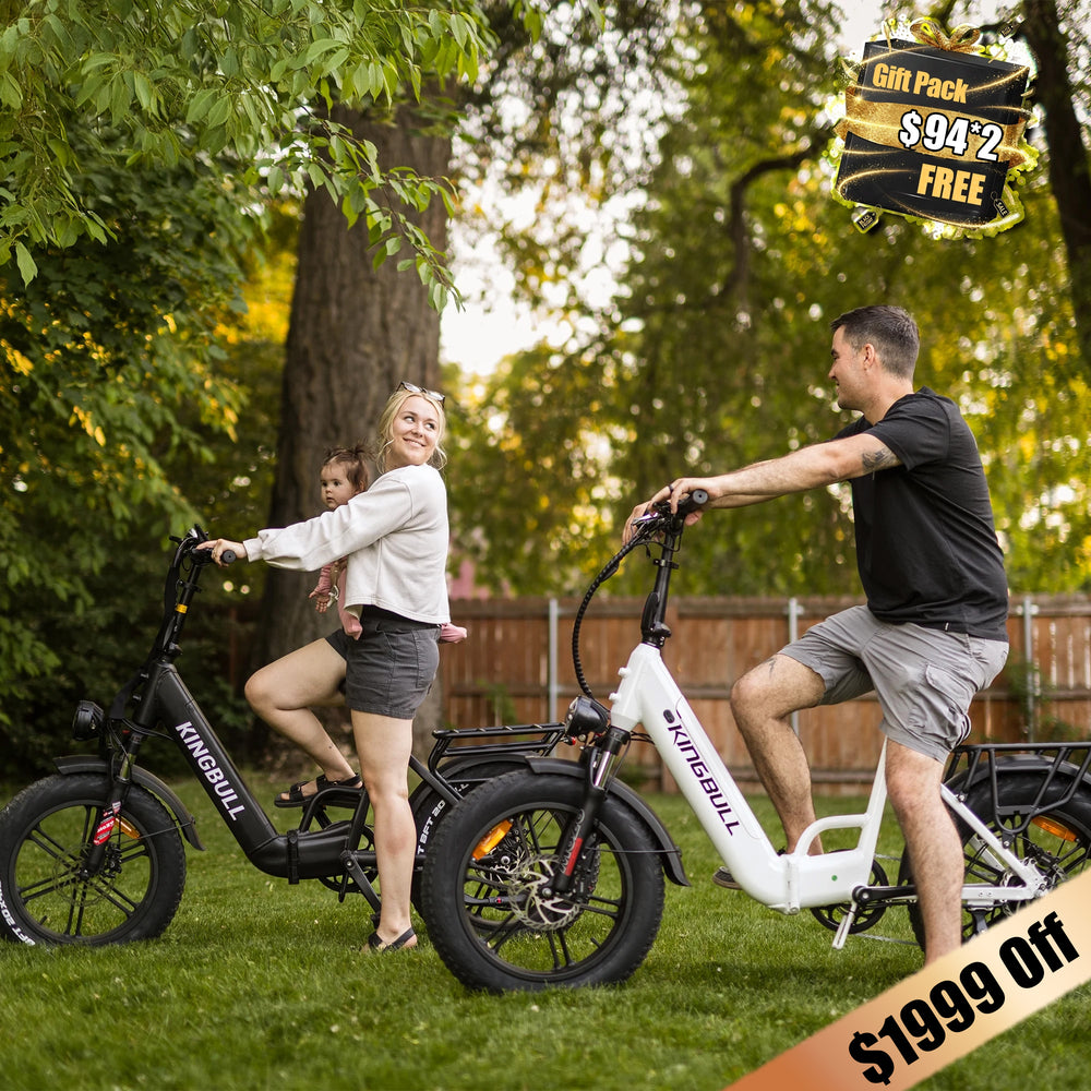 Buy two folding electric bicycles Literider2.0 and save $1,999.