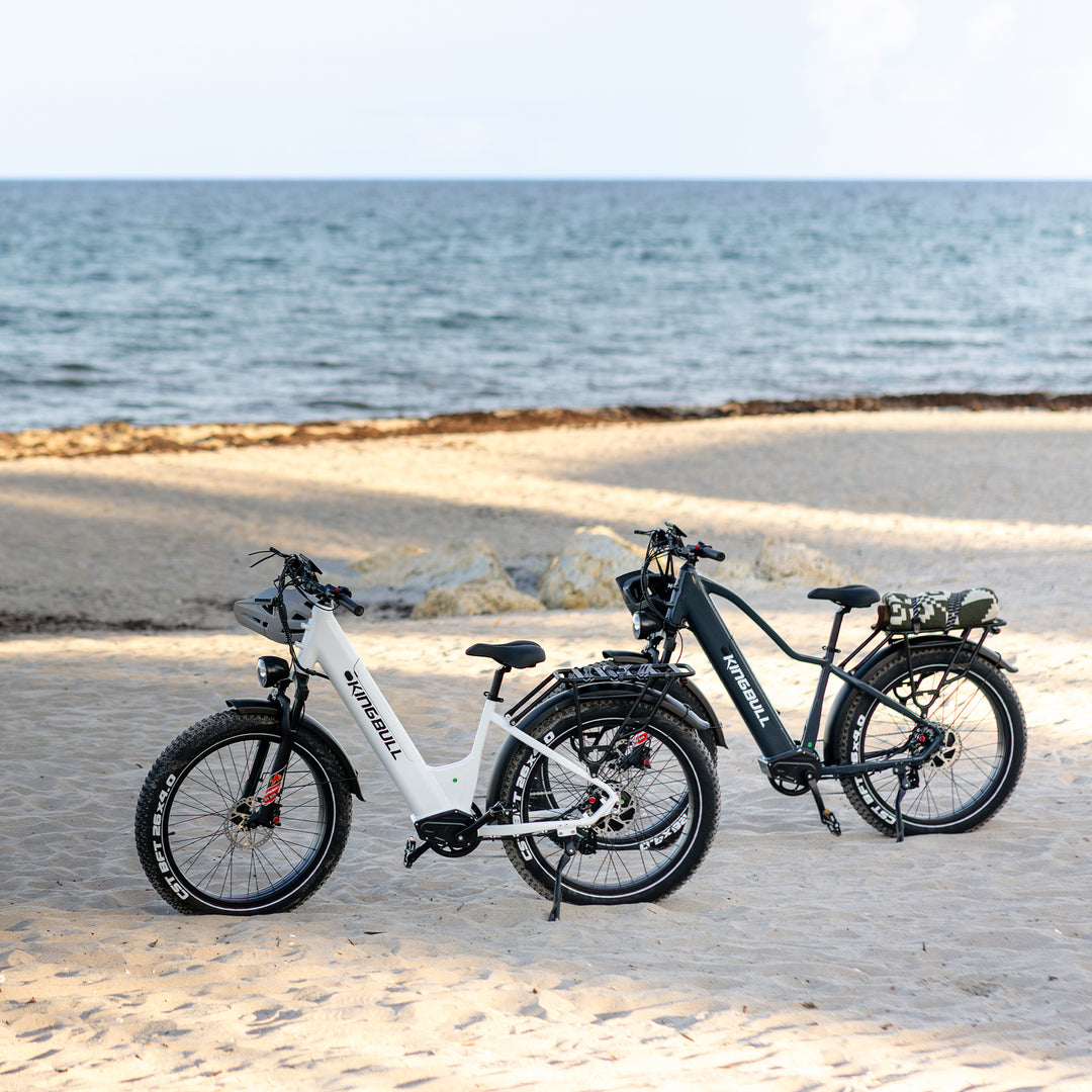 Double Kingbull Discover 2.0/Discover ST 2.0 | Premium Off-road & City Electric Bike
