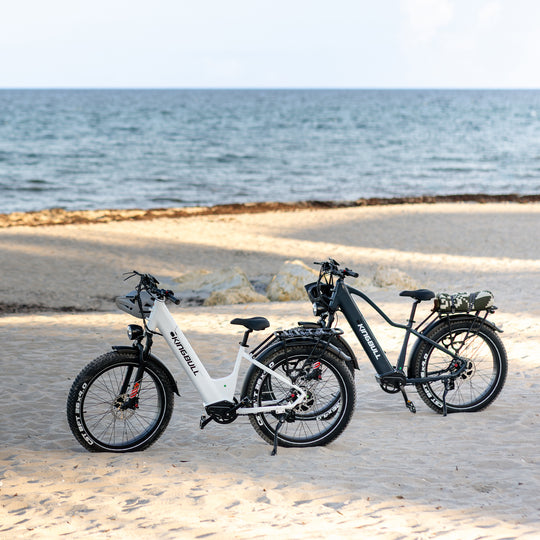 Double Kingbull Discover 2.0/Discover ST 2.0 | Premium Off-road & City Electric Bike