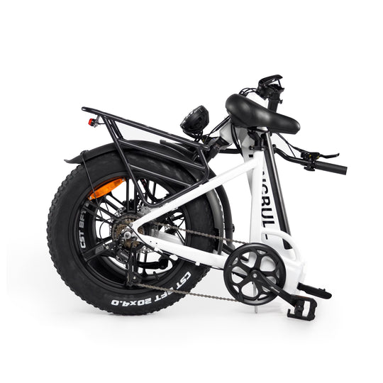 Folding Electric Bike Literider