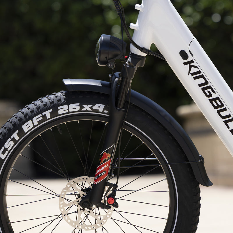 Front suspension system-Discover ST 2.0