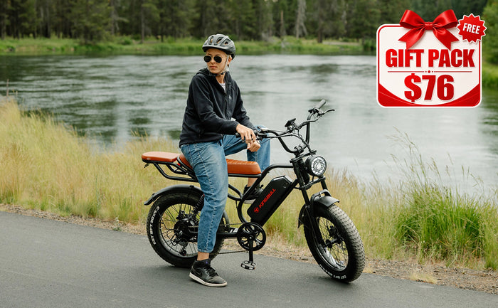 Kingbull Ranger | Vintage Off-Road Electric Bike