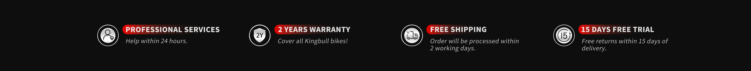 Kingbull electric bike black friday surprise