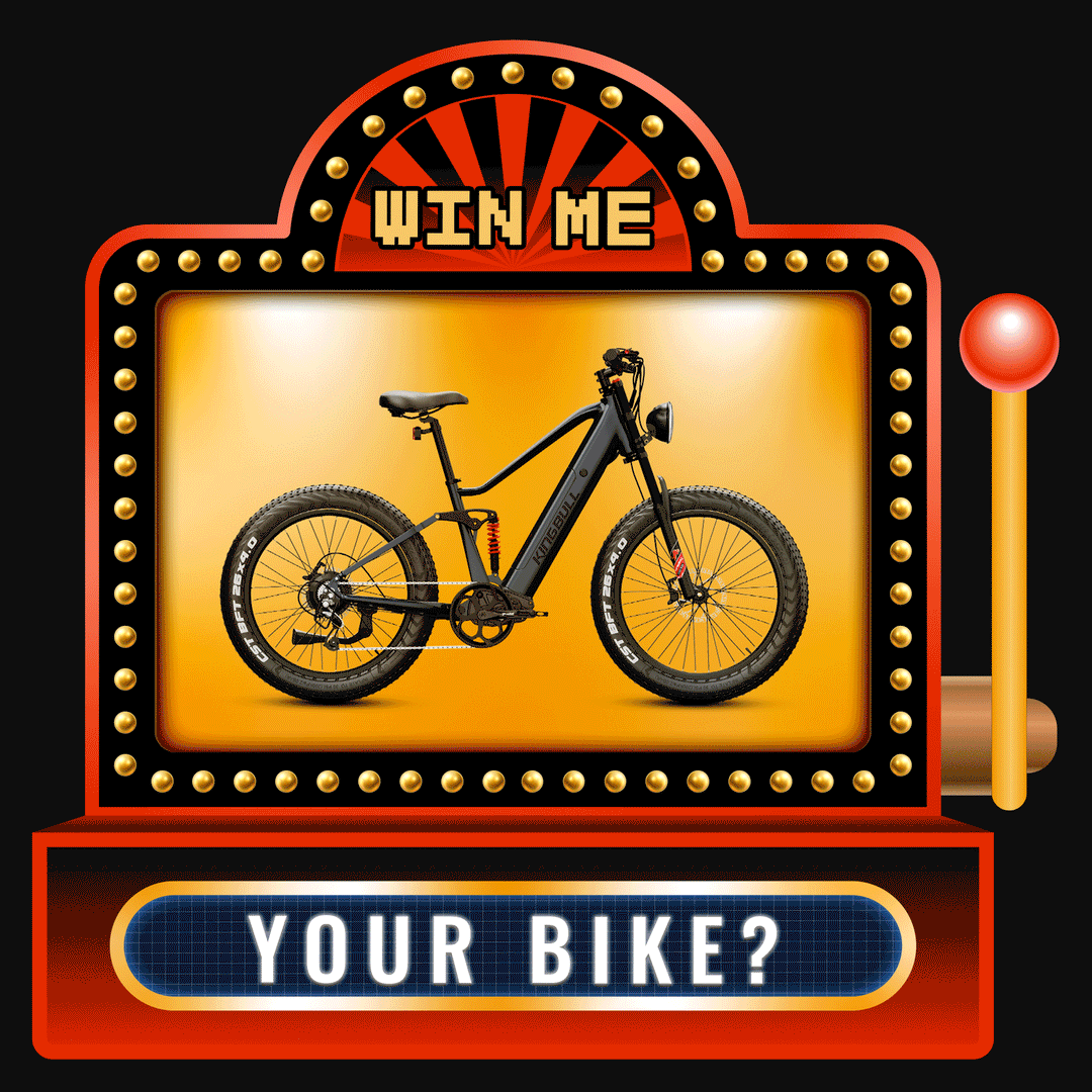 Kingbull Black Friday Sweepstakes