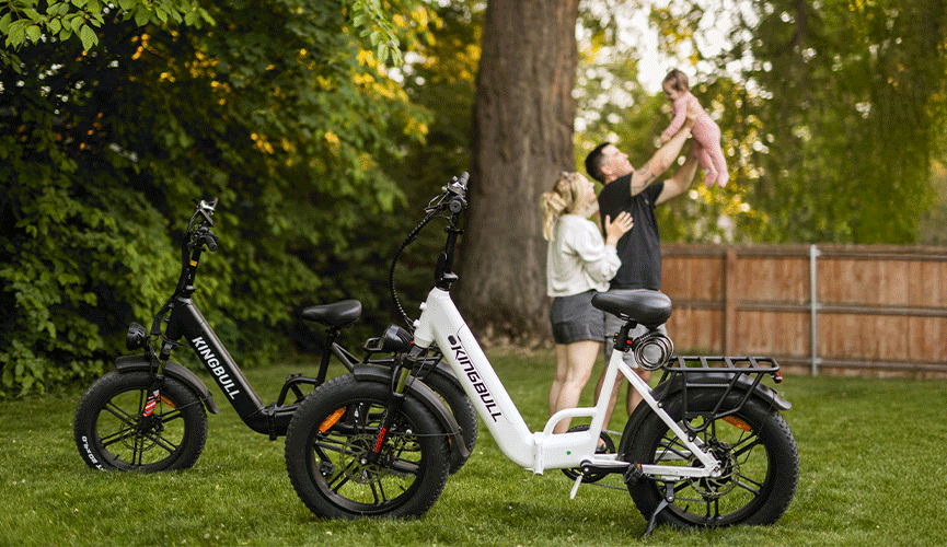 Kingbull Popular electric bike