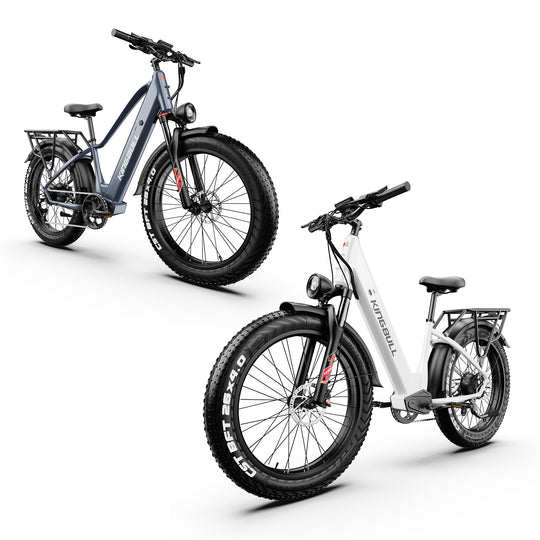 Double Kingbull Discover 2.0/Discover ST 2.0 | Premium Off-road & City Electric Bike