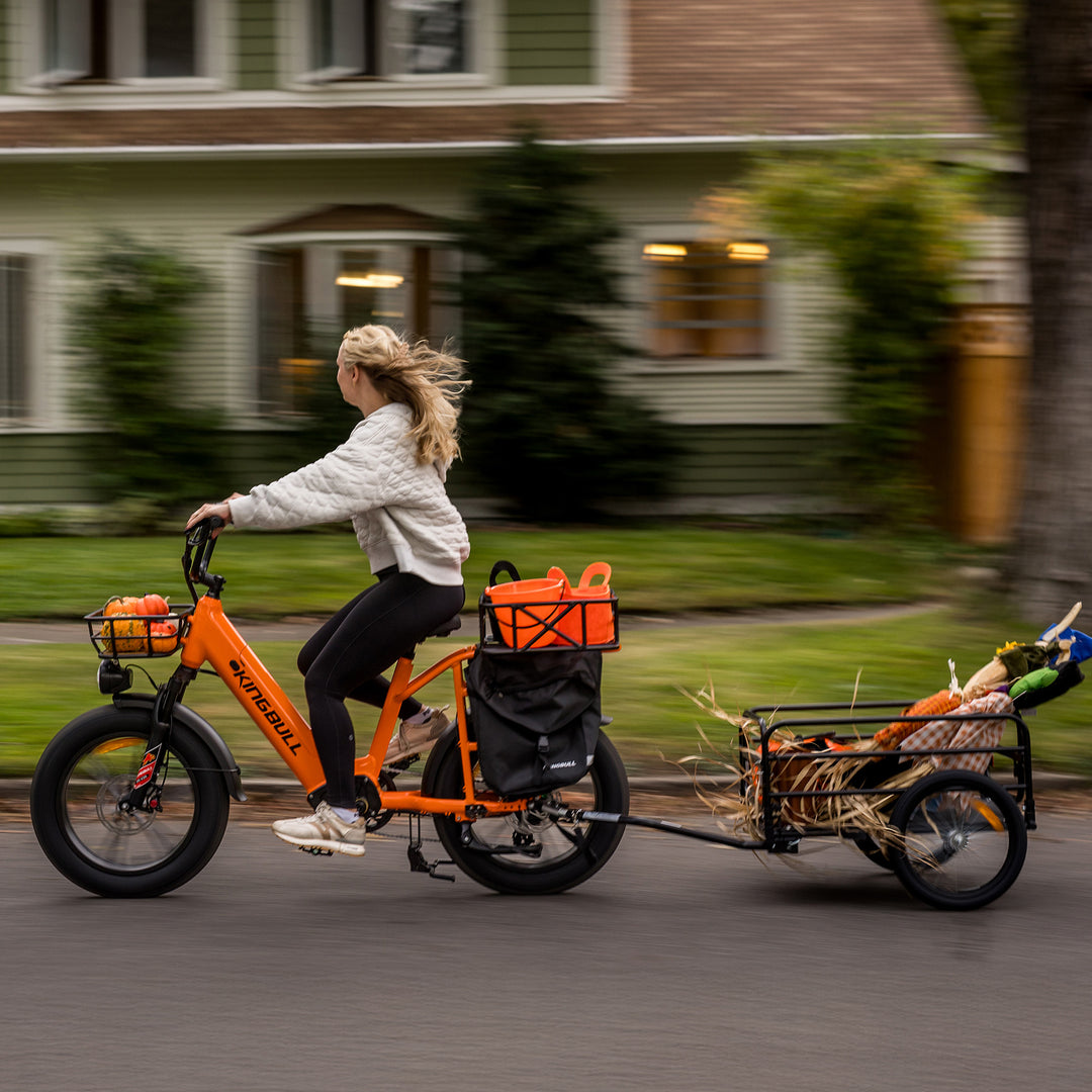 Kingbull Voyager | Fat Tire Electric Cargo Bike
