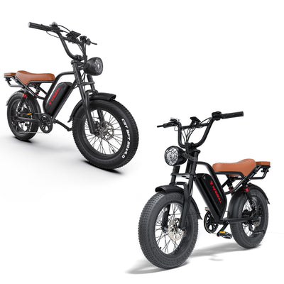 Double Kingbull Ranger | Vintage Off-Road Electric Bike