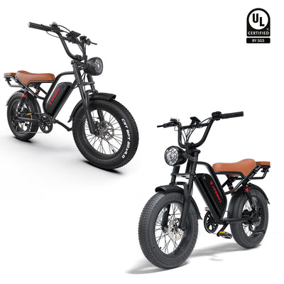Double Kingbull Ranger | Vintage Off-Road Electric Bike