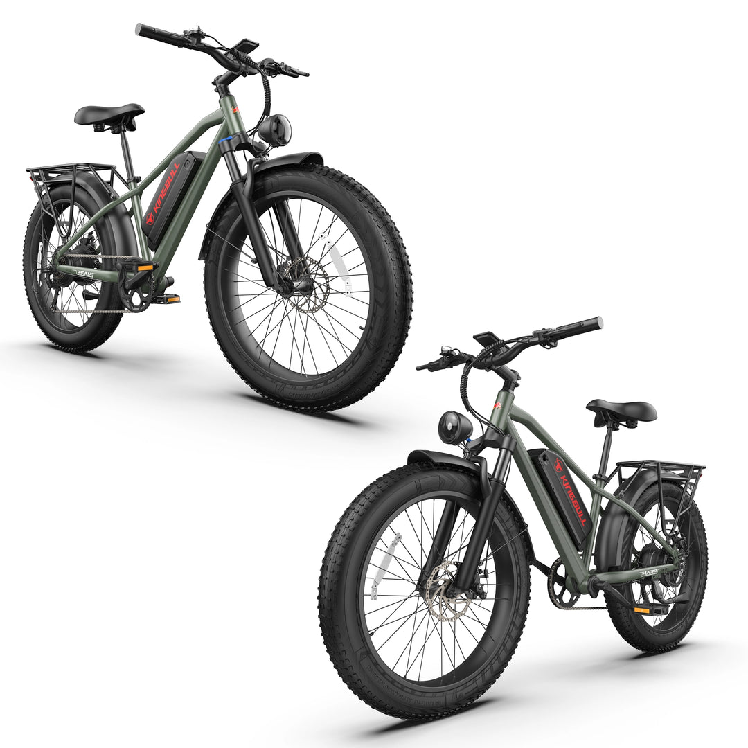 Double Kingbull Hunter 2.0S Fat Tire Mountain Electric Bike
