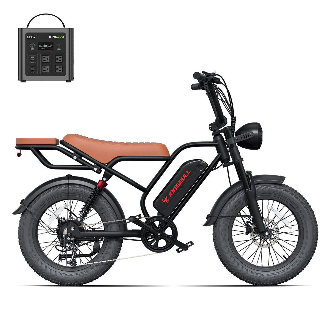 Kingbull Ranger electric Moped bike with power station