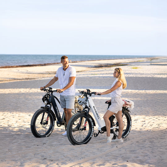 Double Kingbull Discover 2.0/Discover ST 2.0 | Premium Off-road & City Electric Bike