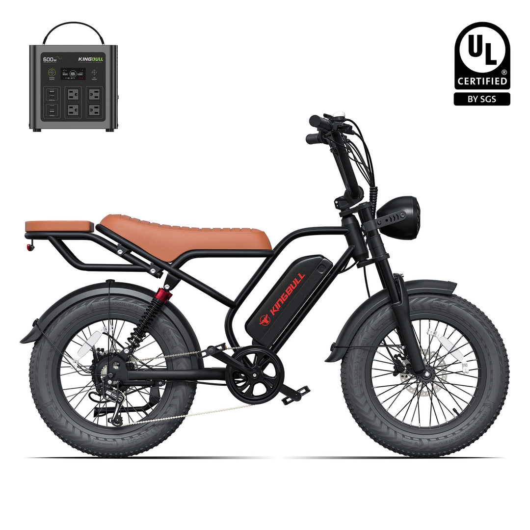 Kingbull Ranger electric Moped bike with power station
