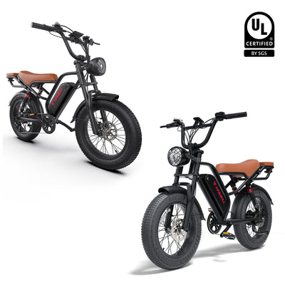 Double Kingbull Ranger | Vintage Off-Road Electric Bike