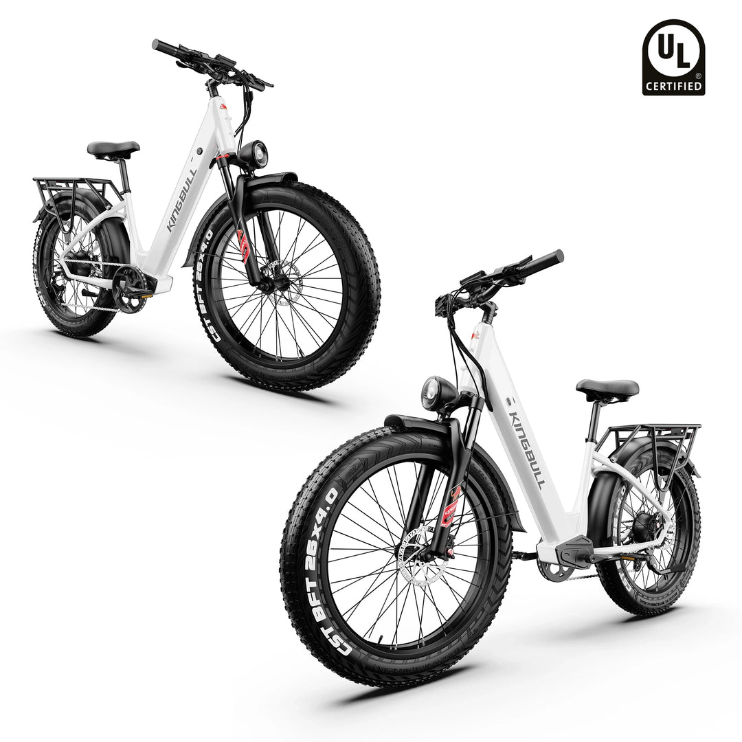 Double Kingbull Discover (ST) 2.0 ebike with UL
