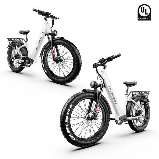 Double Kingbull Discover (ST) 2.0 ebike with UL