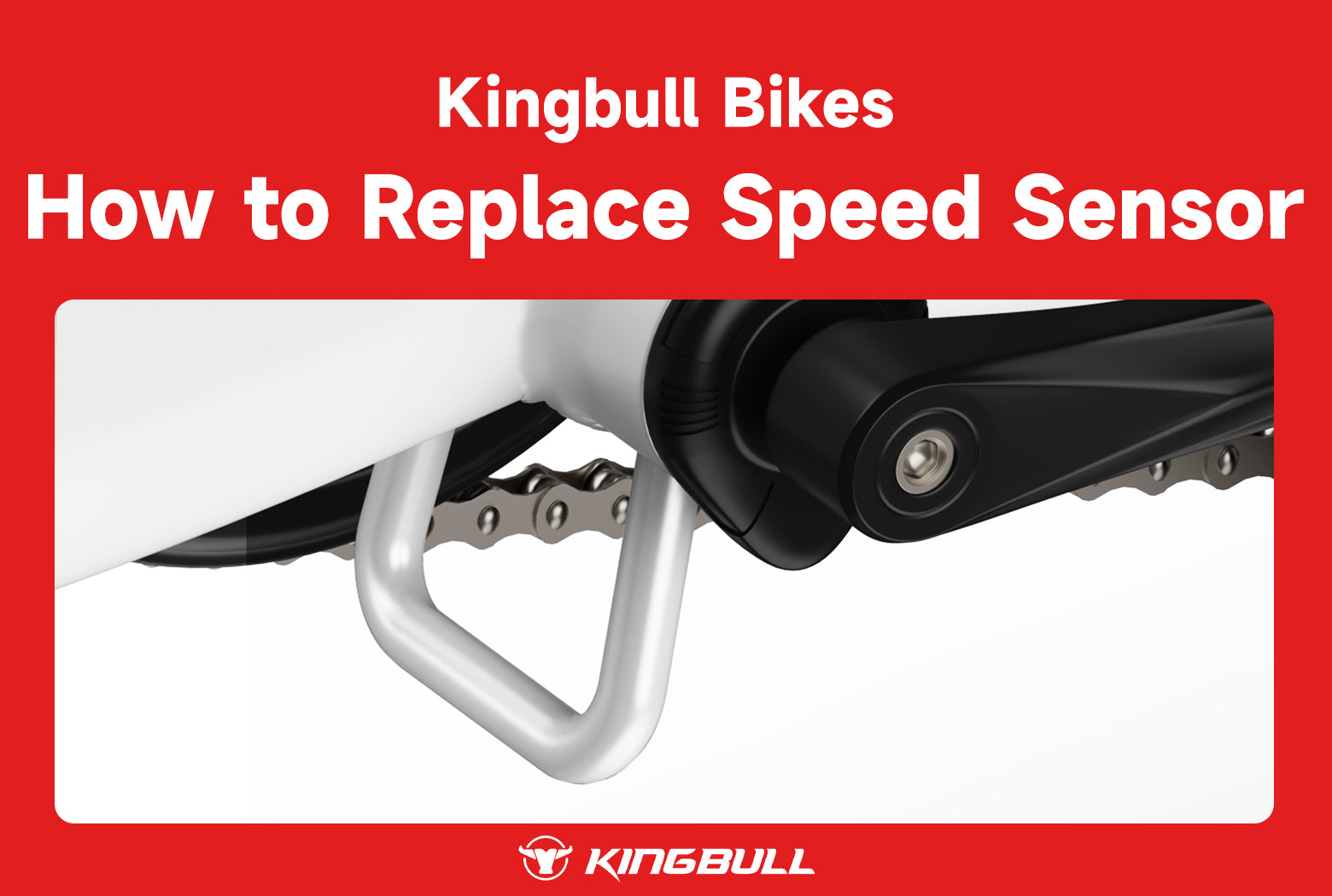  Replace Your Speed Sensor