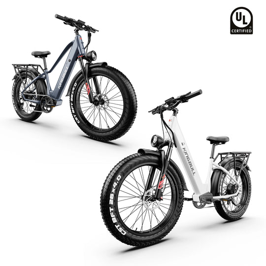 Double Kingbull Discover (ST) 2.0 ebike with UL