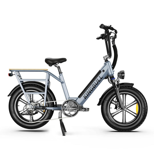 Cargo Electric Bike Voyager