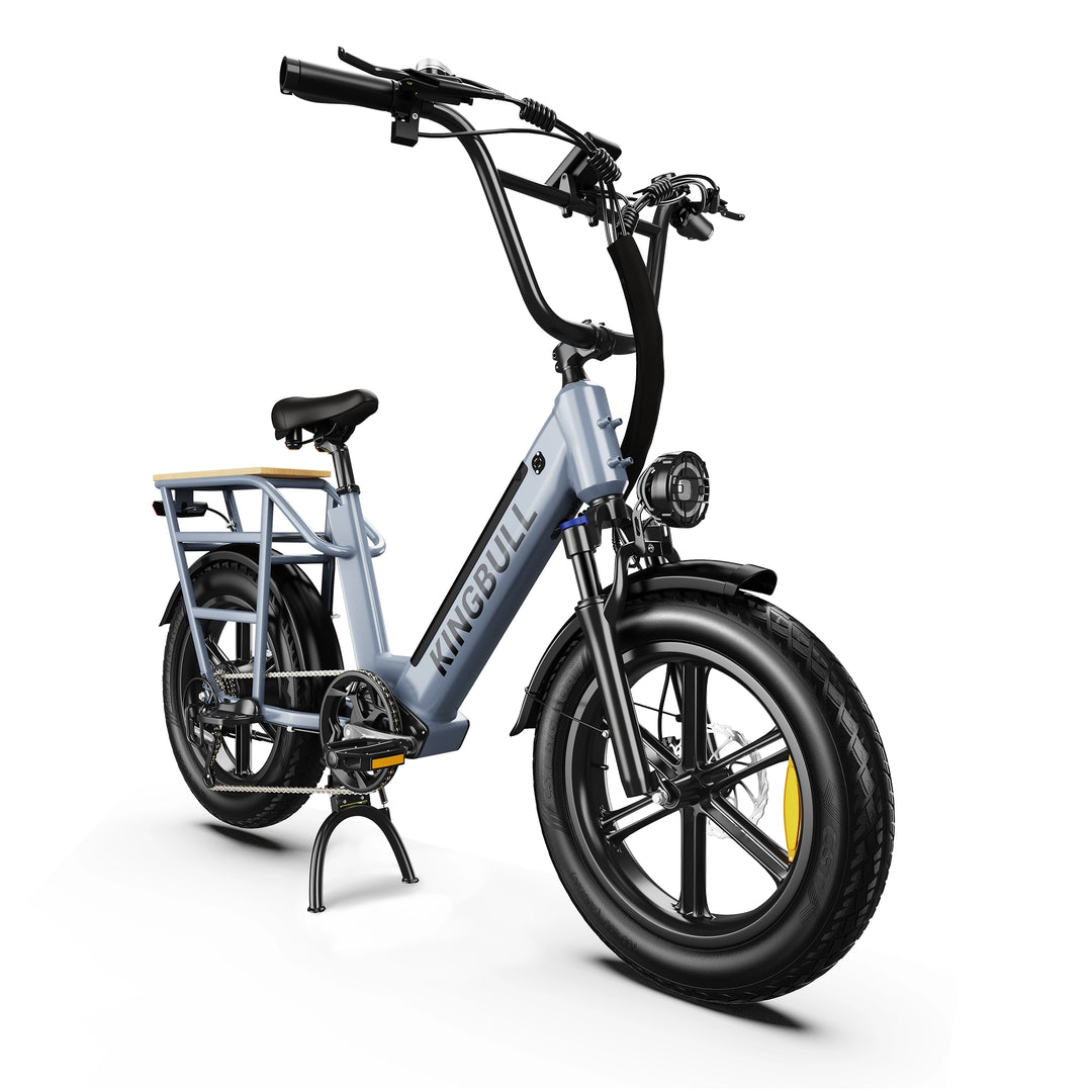 Cargo Electric Bike Voyager