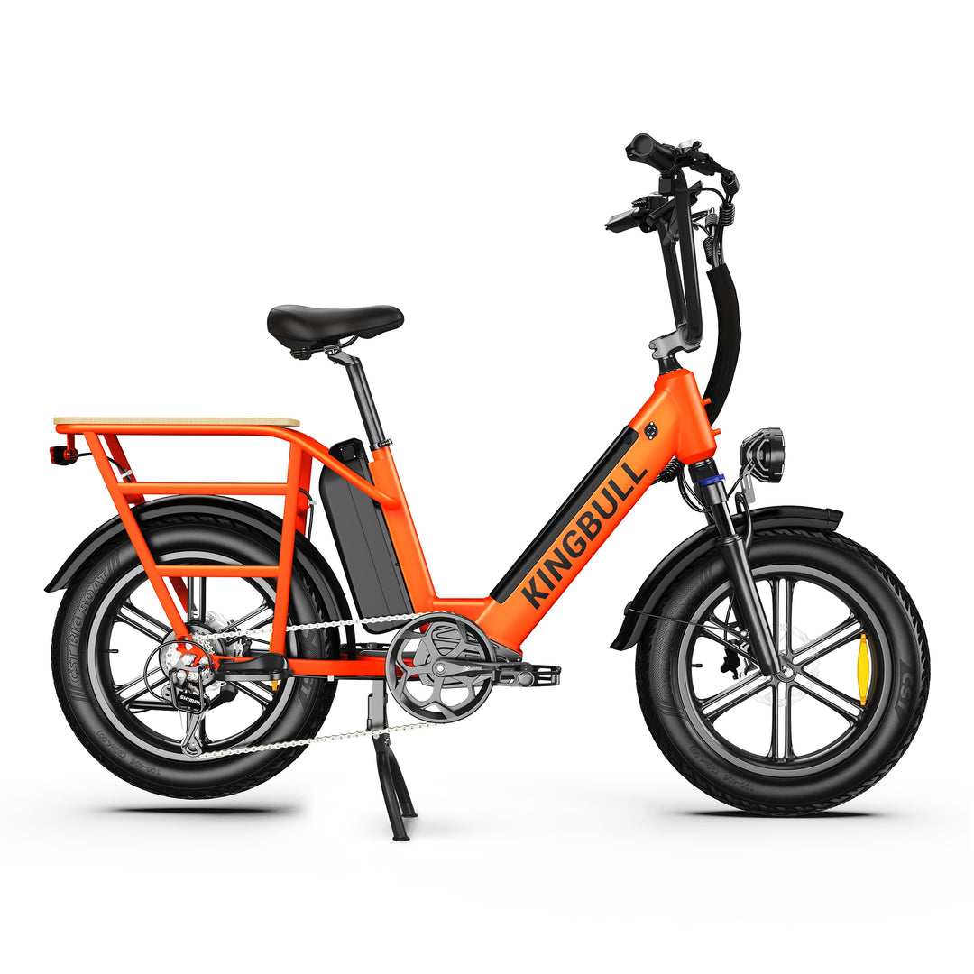 Cargo Electric Bike Voyager