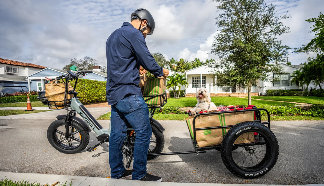 Dual Battery Electric Bike Voyager