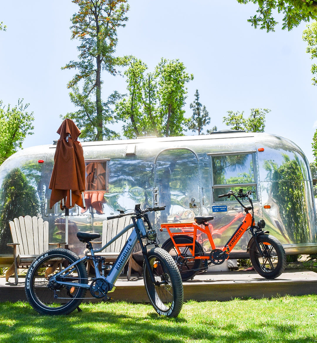 Two Kingbull electric bikes parked on the grass