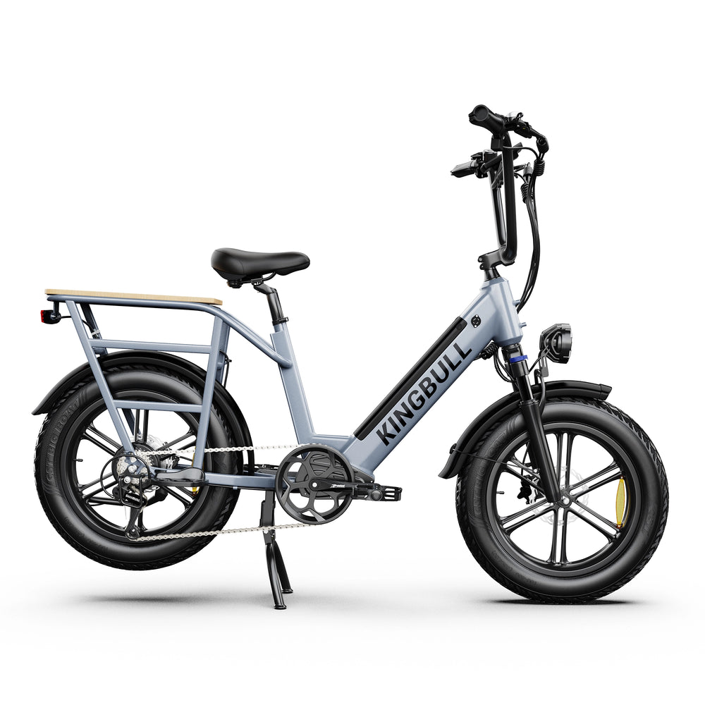 Fat tire electric cargo bike sales