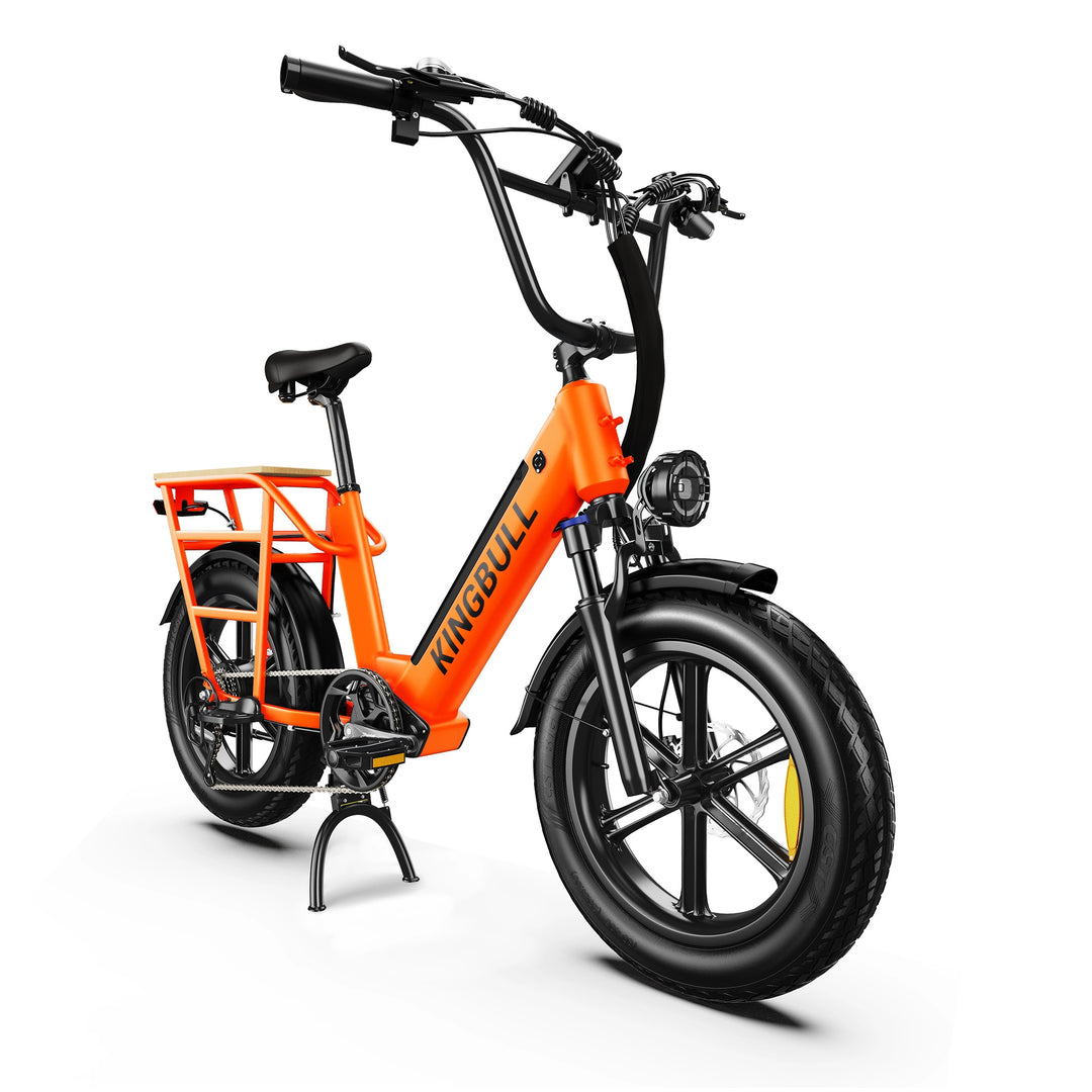 Cargo Electric Bike Voyager