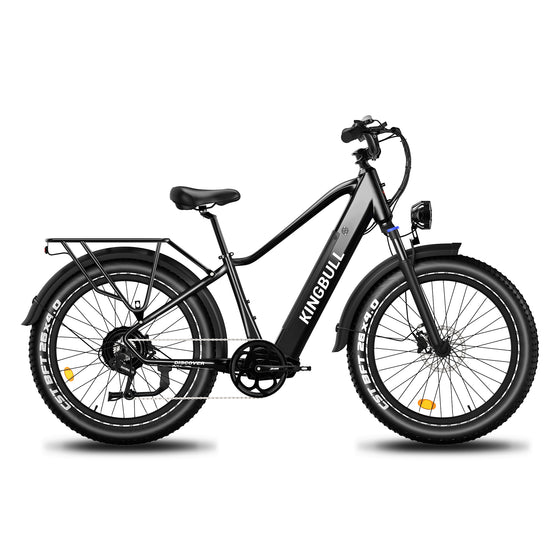 Commuter Electric Bike Discover
