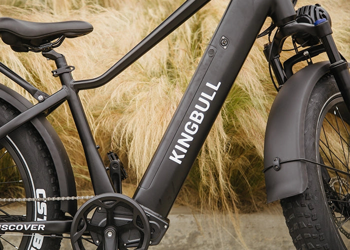 Kingbull Discover EBike upgraded 6061 aluminum alloy
