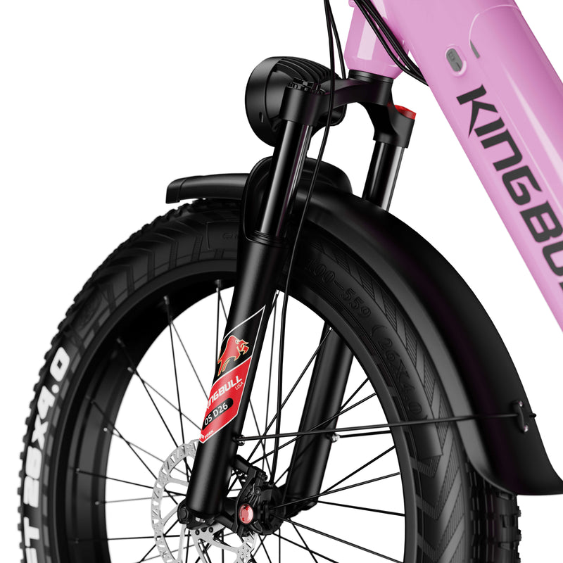 Front suspension system-Discover ST 2.0