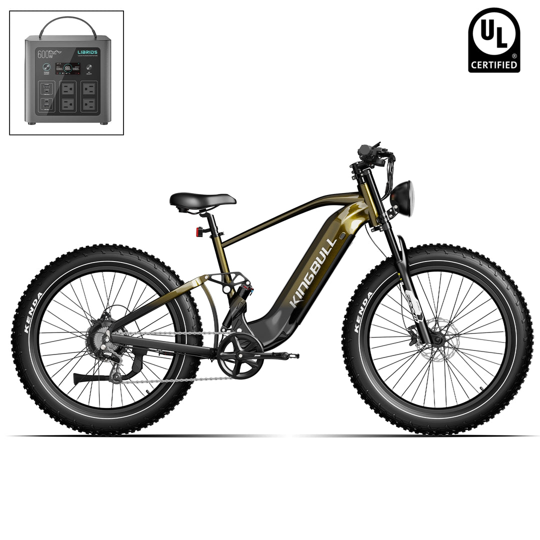 electric full suspension bicycle Purple / Bike With Fender& Rack and full suspension system for a powerful ride on any terrain RANDRIDE 1000W Commuter E Bike
