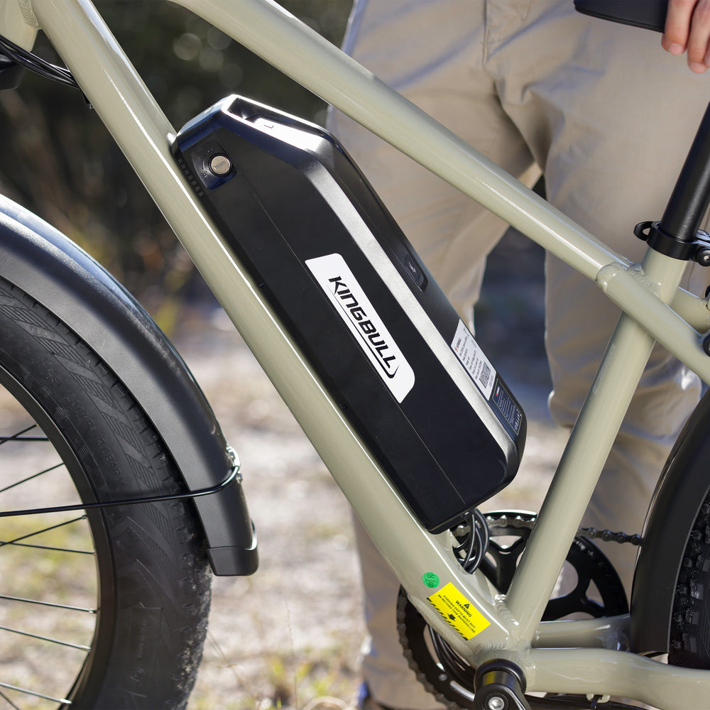 15Ah Kingbull Battery Pack (Hunter2.0 Models Only)