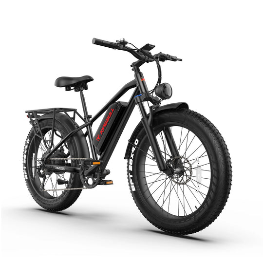 Mountain fat tire ebike - Kingbull Hunter 2.0S 
